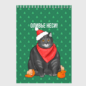 Скетчбук с принтом Кот хочет кушот в Белгороде, 100% бумага
 | 48 листов, плотность листов — 100 г/м2, плотность картонной обложки — 250 г/м2. Листы скреплены сверху удобной пружинной спиралью | кот | кушот | новый год | оливье | толстый кот