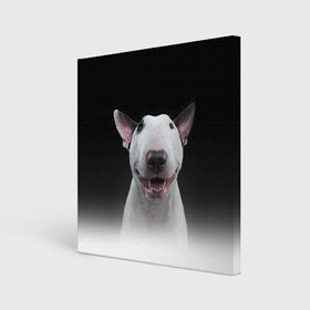 Холст квадратный с принтом Oh snap! в Белгороде, 100% ПВХ |  | Тематика изображения на принте: bull terrier | dog |   | бультерьер | собака