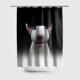 Штора 3D для ванной с принтом Oh snap! в Белгороде, 100% полиэстер | плотность материала — 100 г/м2. Стандартный размер — 146 см х 180 см. По верхнему краю — пластиковые люверсы для креплений. В комплекте 10 пластиковых колец | bull terrier | dog |   | бультерьер | собака