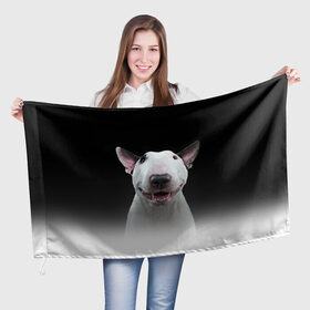 Флаг 3D с принтом Oh snap! в Белгороде, 100% полиэстер | плотность ткани — 95 г/м2, размер — 67 х 109 см. Принт наносится с одной стороны | Тематика изображения на принте: bull terrier | dog |   | бультерьер | собака