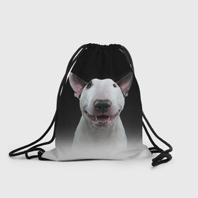 Рюкзак-мешок 3D с принтом Oh snap! в Белгороде, 100% полиэстер | плотность ткани — 200 г/м2, размер — 35 х 45 см; лямки — толстые шнурки, застежка на шнуровке, без карманов и подкладки | Тематика изображения на принте: bull terrier | dog |   | бультерьер | собака
