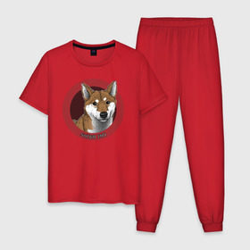 Мужская пижама хлопок с принтом Сиба-ину в Белгороде, 100% хлопок | брюки и футболка прямого кроя, без карманов, на брюках мягкая резинка на поясе и по низу штанин
 | shiba inu | сиба ину | собака | собаки | шиба ину