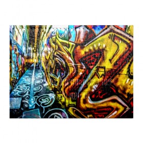Обложка для студенческого билета с принтом Твой уличный стиль! в Белгороде, натуральная кожа | Размер: 11*8 см; Печать на всей внешней стороне | graffity | paint | street art | urban | город | граффити | искусство | кирпичи | краски | рисунки | стена | улицы | уличное искусство