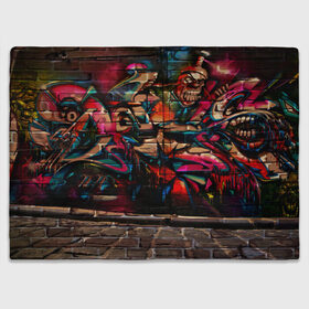 Плед 3D с принтом disquared urban graffity в Белгороде, 100% полиэстер | закругленные углы, все края обработаны. Ткань не мнется и не растягивается | grafity | paint | street art | urban | город | граффити | искусство | кирпичи | краски | рисунки | стена | улицы | уличное искусство