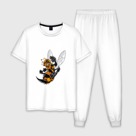 Мужская пижама хлопок с принтом Злая оса в Белгороде, 100% хлопок | брюки и футболка прямого кроя, без карманов, на брюках мягкая резинка на поясе и по низу штанин
 | арт | жалит | жало | злая | насекомое | оса | полосатая | пчела