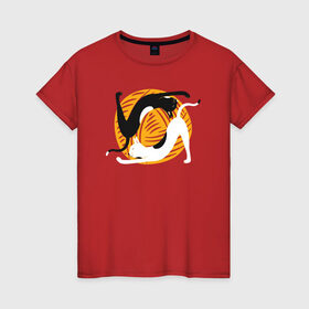 Женская футболка хлопок с принтом Котики Йога в Белгороде, 100% хлопок | прямой крой, круглый вырез горловины, длина до линии бедер, слегка спущенное плечо | yoga | йога | клубок | кот | котики | коты | кошка