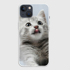 Чехол для iPhone 13 с принтом Котенок в Белгороде,  |  | голова | животные | кот | котенок | котик | кошка | мордочка | природа | язык