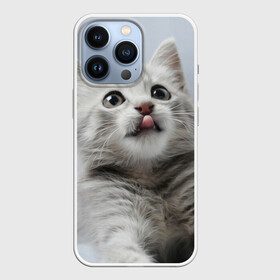 Чехол для iPhone 13 Pro с принтом Котенок в Белгороде,  |  | Тематика изображения на принте: голова | животные | кот | котенок | котик | кошка | мордочка | природа | язык