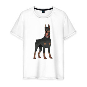 Мужская футболка хлопок с принтом Доберман в Белгороде, 100% хлопок | прямой крой, круглый вырез горловины, длина до линии бедер, слегка спущенное плечо. | doberman | dobermann | dog | доберман | собака | собаки
