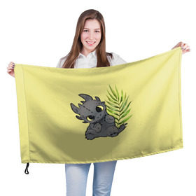 Флаг 3D с принтом ночная фурия в Белгороде, 100% полиэстер | плотность ткани — 95 г/м2, размер — 67 х 109 см. Принт наносится с одной стороны | night fury | беззубик | дракон | как приручить дракона | ночная фурия