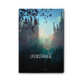 Обложка для автодокументов с принтом Life is Strange в Белгороде, натуральная кожа |  размер 19,9*13 см; внутри 4 больших “конверта” для документов и один маленький отдел — туда идеально встанут права | Тематика изображения на принте: caulfield | chloe price | game | kate marsh | life | life is strange | life is strange: before the storm | max | strange | две луны | игры | кейт марш | колфилд | макс | подростки | студенты