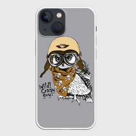 Чехол для iPhone 13 mini с принтом Wild Сrazy guy в Белгороде,  |  | wild сrazy guy дикий | бандана | взгляд | графика | искусство | картинка | каска | коричневый | кости | крутой | лучший | мода | модный | молодёжная | очки | пилот | платок | птица | рисунок | серый | сова