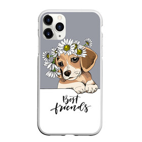 Чехол для iPhone 11 Pro матовый с принтом Best friend в Белгороде, Силикон |  | backgroun | best | breed | daisies | dog | flowers | friend | green | kid | puppy | wreath | венок | графика | друг | зелёный | картинка | красивый | крутой | лучший | малыш | мода | модный | молодёжная | порода | рисунок | ромашки | собака