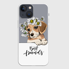 Чехол для iPhone 13 mini с принтом Best friend в Белгороде,  |  | backgroun | best | breed | daisies | dog | flowers | friend | green | kid | puppy | wreath | венок | графика | друг | зелёный | картинка | красивый | крутой | лучший | малыш | мода | модный | молодёжная | порода | рисунок | ромашки | собака