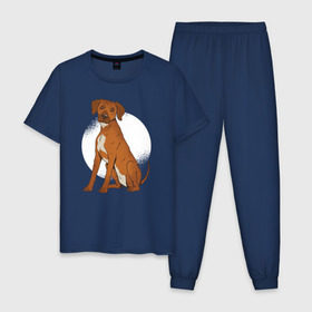 Мужская пижама хлопок с принтом Родезийский риджбек в Белгороде, 100% хлопок | брюки и футболка прямого кроя, без карманов, на брюках мягкая резинка на поясе и по низу штанин
 | rhodesian ridgeback | ridgeback | риджбек | собака | собаки
