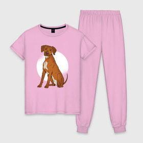 Женская пижама хлопок с принтом Родезийский риджбек в Белгороде, 100% хлопок | брюки и футболка прямого кроя, без карманов, на брюках мягкая резинка на поясе и по низу штанин | rhodesian ridgeback | ridgeback | риджбек | собака | собаки