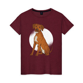 Женская футболка хлопок с принтом Родезийский риджбек в Белгороде, 100% хлопок | прямой крой, круглый вырез горловины, длина до линии бедер, слегка спущенное плечо | rhodesian ridgeback | ridgeback | риджбек | собака | собаки
