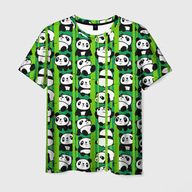 Мужская футболка 3D с принтом Медведи панда в Белгороде, 100% полиэфир | прямой крой, круглый вырез горловины, длина до линии бедер | Тематика изображения на принте: animals | bamboo | bears | branches | funny | panda | trees | аниме | бамбук | весёлые | ветки | графика | деревья | животные | зелёный | искусство | картинка | красивый | крутой | малыши | медведи | мода | модный | молодёжная