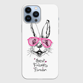 Чехол для iPhone 13 Pro Max с принтом Best Friends Forever в Белгороде,  |  | animal | best friends | forever | hare | hearts | love | rabbit | белый | графика | друзья | животное | заяц | искусство | картинка | кролик | крутой | лучшие | лучший | любоввь | модный | навсегда | очки | полосатые | рисунок