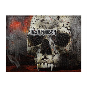 Обложка для студенческого билета с принтом Iron Maiden в Белгороде, натуральная кожа | Размер: 11*8 см; Печать на всей внешней стороне | бас | британия | брюс дикинсон | гитара | группа | дева | железная | метал | нико макбрэйн | рок | стив харрис | хеви | яник герс