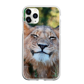 Чехол для iPhone 11 Pro матовый с принтом Улыбка львицы в Белгороде, Силикон |  | Тематика изображения на принте: голова | животные | кот | кошка | лев | лицо | львица | прикол | прикольные | природа | смешные | тигр | тигрица | улыбается | улыбка | юмор