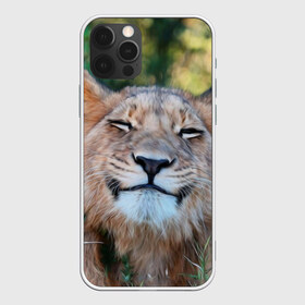 Чехол для iPhone 12 Pro Max с принтом Улыбка львицы в Белгороде, Силикон |  | Тематика изображения на принте: голова | животные | кот | кошка | лев | лицо | львица | прикол | прикольные | природа | смешные | тигр | тигрица | улыбается | улыбка | юмор