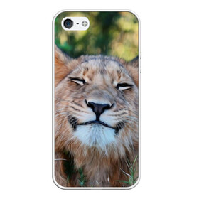 Чехол для iPhone 5/5S матовый с принтом Улыбка львицы в Белгороде, Силикон | Область печати: задняя сторона чехла, без боковых панелей | Тематика изображения на принте: голова | животные | кот | кошка | лев | лицо | львица | прикол | прикольные | природа | смешные | тигр | тигрица | улыбается | улыбка | юмор