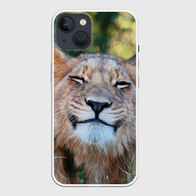 Чехол для iPhone 13 с принтом Улыбка львицы в Белгороде,  |  | голова | животные | кот | кошка | лев | лицо | львица | прикол | прикольные | природа | смешные | тигр | тигрица | улыбается | улыбка | юмор