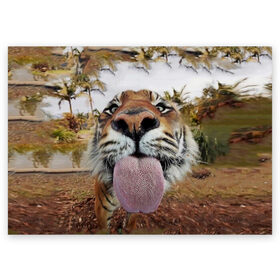 Поздравительная открытка с принтом Тигр показывает язык в Белгороде, 100% бумага | плотность бумаги 280 г/м2, матовая, на обратной стороне линовка и место для марки
 | голова | животные | кот | кошка | лев | лицо | прикол | прикольные | природа | смешные 
 животные | тигр | тигрица | юмор | язык