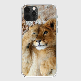 Чехол для iPhone 12 Pro с принтом Львенок в Белгороде, силикон | область печати: задняя сторона чехла, без боковых панелей | дикая кошка | животные | кот | кошка | лев | львенок | львица | мордочка | природа | тигр | хищник