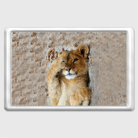 Магнит 45*70 с принтом Львенок в Белгороде, Пластик | Размер: 78*52 мм; Размер печати: 70*45 | дикая кошка | животные | кот | кошка | лев | львенок | львица | мордочка | природа | тигр | хищник