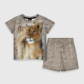 Детский костюм с шортами 3D с принтом Львенок в Белгороде,  |  | дикая кошка | животные | кот | кошка | лев | львенок | львица | мордочка | природа | тигр | хищник