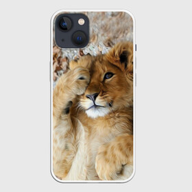 Чехол для iPhone 13 с принтом Львенок в Белгороде,  |  | дикая кошка | животные | кот | кошка | лев | львенок | львица | мордочка | природа | тигр | хищник