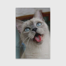 Обложка для паспорта матовая кожа с принтом Сиамский котенок в Белгороде, натуральная матовая кожа | размер 19,3 х 13,7 см; прозрачные пластиковые крепления | животные | кот | котенок | котик | кошечка | кошка | милый | мордочка | показывает язык | прикол | серый | сиамская | сиамская кошка | сиамский котенок | юмор | язык
