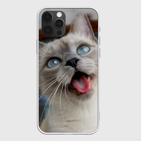 Чехол для iPhone 12 Pro Max с принтом Сиамский котенок в Белгороде, Силикон |  | Тематика изображения на принте: животные | кот | котенок | котик | кошечка | кошка | милый | мордочка | показывает язык | прикол | серый | сиамская | сиамская кошка | сиамский котенок | юмор | язык