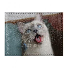 Обложка для студенческого билета с принтом Сиамский котенок в Белгороде, натуральная кожа | Размер: 11*8 см; Печать на всей внешней стороне | Тематика изображения на принте: животные | кот | котенок | котик | кошечка | кошка | милый | мордочка | показывает язык | прикол | серый | сиамская | сиамская кошка | сиамский котенок | юмор | язык