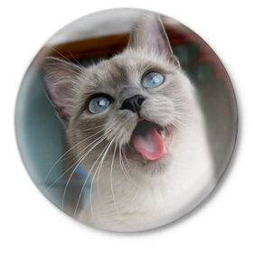 Значок с принтом Сиамский котенок в Белгороде,  металл | круглая форма, металлическая застежка в виде булавки | животные | кот | котенок | котик | кошечка | кошка | милый | мордочка | показывает язык | прикол | серый | сиамская | сиамская кошка | сиамский котенок | юмор | язык