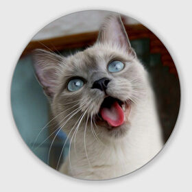 Коврик круглый с принтом Сиамский котенок в Белгороде, резина и полиэстер | круглая форма, изображение наносится на всю лицевую часть | животные | кот | котенок | котик | кошечка | кошка | милый | мордочка | показывает язык | прикол | серый | сиамская | сиамская кошка | сиамский котенок | юмор | язык
