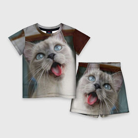 Детский костюм с шортами 3D с принтом Сиамский котенок в Белгороде,  |  | животные | кот | котенок | котик | кошечка | кошка | милый | мордочка | показывает язык | прикол | серый | сиамская | сиамская кошка | сиамский котенок | юмор | язык