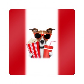 Магнит виниловый Квадрат с принтом собака-киноман в Белгороде, полимерный материал с магнитным слоем | размер 9*9 см, закругленные углы | Тематика изображения на принте: кино | отдых | очки | попкорн | собака | телефон | терьер