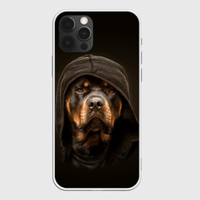Чехол для iPhone 12 Pro Max с принтом Ротвейлер в капюшоне в Белгороде, Силикон |  | rottweiler | капюшон | молоссы | пастух | пёс | собака | щенок