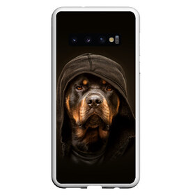 Чехол для Samsung Galaxy S10 с принтом Ротвейлер в капюшоне в Белгороде, Силикон | Область печати: задняя сторона чехла, без боковых панелей | rottweiler | капюшон | молоссы | пастух | пёс | собака | щенок