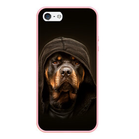 Чехол для iPhone 5/5S матовый с принтом Ротвейлер в капюшоне в Белгороде, Силикон | Область печати: задняя сторона чехла, без боковых панелей | rottweiler | капюшон | молоссы | пастух | пёс | собака | щенок