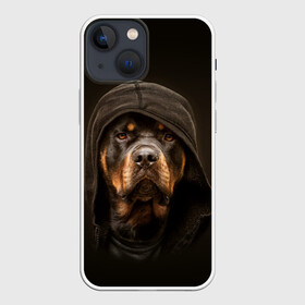 Чехол для iPhone 13 mini с принтом Ротвейлер в капюшоне в Белгороде,  |  | Тематика изображения на принте: rottweiler | капюшон | молоссы | пастух | пёс | собака | щенок