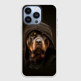 Чехол для iPhone 13 Pro с принтом Ротвейлер в капюшоне в Белгороде,  |  | rottweiler | капюшон | молоссы | пастух | пёс | собака | щенок