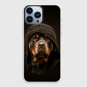 Чехол для iPhone 13 Pro Max с принтом Ротвейлер в капюшоне в Белгороде,  |  | Тематика изображения на принте: rottweiler | капюшон | молоссы | пастух | пёс | собака | щенок