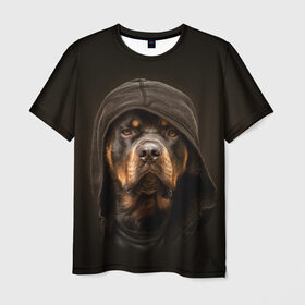 Мужская футболка 3D с принтом Ротвейлер в капюшоне в Белгороде, 100% полиэфир | прямой крой, круглый вырез горловины, длина до линии бедер | rottweiler | капюшон | молоссы | пастух | пёс | собака | щенок