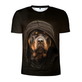 Мужская футболка 3D спортивная с принтом Ротвейлер в капюшоне в Белгороде, 100% полиэстер с улучшенными характеристиками | приталенный силуэт, круглая горловина, широкие плечи, сужается к линии бедра | rottweiler | капюшон | молоссы | пастух | пёс | собака | щенок