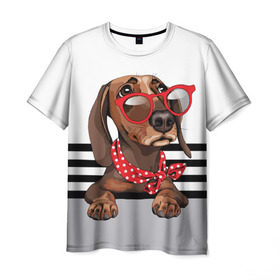 Мужская футболка 3D с принтом Такса в очках в Белгороде, 100% полиэфир | прямой крой, круглый вырез горловины, длина до линии бедер | animal | black | breed | dachshund | dog | domestic | drawing | gra | polka | red | shawl | stripes | white | белый | горошек | графика | домашняя | животное | красный | надпись | очки | платок | полосы | порода | рисунок | собака | такса | текс
