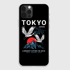 Чехол для iPhone 12 Pro с принтом Tokyo в Белгороде, силикон | область печати: задняя сторона чехла, без боковых панелей | Тематика изображения на принте: cities | country | japan | large | most | mountains | nagasaki | tokyo | travel | большие | восход | города | горы | графика | журавли | закат | летят | нагасаки | надпись | полет | птицы | путешествия | рисунок | самые | солнце | страна